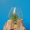 Peça em Vidro Fundido em Madeira, de Bali | Peça Artesanal Média | Decoração Única Preparada/o para ter uma bela peça de artesanato Balinês? Artesanato Genuíno de Bali: Cada artigo é feito à mão por mestres artesãos na Indonésia, garantindo autenticidade e apoio à comunidade local. Design Rústico Chic: A combinação da madeira branca com o vidro transparente oferece um visual Shabby Chic, costeiro ou Zen que ilumina qualquer espaço. Versatilidade Decorativa: De tamanho médio, esta peça é ideal como um centro de mesa elegante, como porta - vela,  um terrário para suculentas ou simplesmente como uma escultura decorativa por si só. Sustentabilidade e Compra Consciente: Utilizamos vidro reciclado e madeira local, numa abordagem ecológica e amiga do ambiente. Ponto Focal de Luz: O vidro incolor capta e reflete a luz, criando um efeito visual deslumbrante em qualquer divisão. Porquê Comprar Esta Peça Única? Esta não é apenas uma peça de decoração, é um convite à calma e uma celebração da beleza natural e imperfeita. É a escolha perfeita para quem procura um presente original e de bom gosto, ou para adicionar um toque de sofisticação artesanal à sua própria casa​, local de trabalho, lar de férias. O stock destas peças é naturalmente limitado devido ao processo de criação manual e exclusivo. Garanta já a sua! Não perca a oportunidade de possuir esta fusão ​l​indíssima de elementos naturais e design costeiro! Adicione esta Peça Exclusiva de Vidro e Madeira à Sua Decoração!  https://lojaom.pt/?post_type=product&p=718&preview=true ​ ​Explore a nossa http://www.lojaom.pt  para mais artigos de decoração étnica, artigos esotéricos e arte balinesa!