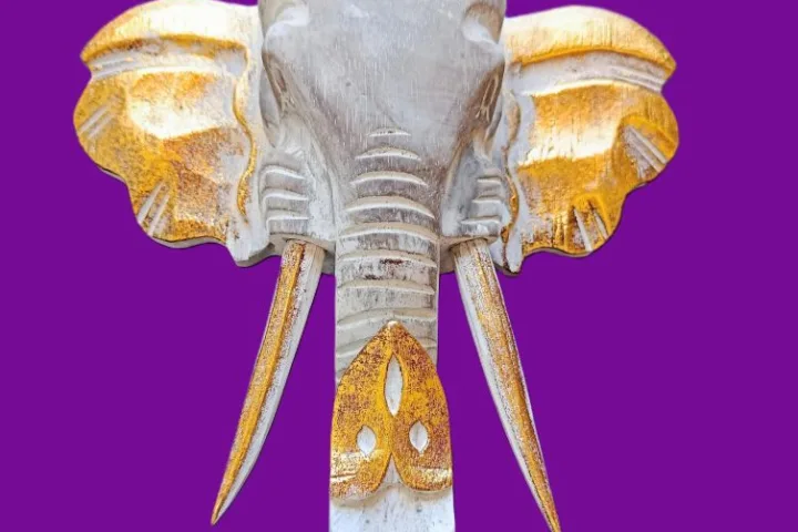 Escultura de Ganesha em Madeira de Bali - Destruidor de Obstáculos e Prosperidade:Uma peça verdadeiramente exclusiva, esculpida manualmente nas ilhas sagradas de Bali, Indonésia, para infundir o seu espaço com a energia ancestral da superação e do sucesso. Esta deslumbrante Cabeça de Ganesha não é apenas uma obra de arte; é um poderoso ativador esotérico imbuído da sabedoria e força do Divino. Artesanato Sagrado e Simbolismo Cromático: Artesanato Autêntico Balinês: Escultura Ganesha em madeira de Albásia, trabalhada com detalhe artesanal por mestres de Bali, garantindo uma peça única e de alta vibração.Significado das Cores: Dourado Vibrante: Simboliza a riqueza espiritual, a prosperidade e a iluminação.Cinzento Sóbrio: Evoca a estabilidade, a sabedoria e a matéria-prima da criação.Equilíbrio: Juntas, estas cores representam a harmonia essencial entre o material e o espiritual. Ganesha: O Destruidor de Obstáculos:Ganesha (ou Ganesh), o Deus com cabeça de elefante do panteão Hindu, é universalmente venerado como o Vigneshwara – O Destruidor de Obstáculos.Ao adquirir esta imagem sagrada, está a convocar para a sua vida os seguintes poderes: Sucesso e Novos Começos: Ganesha é a divindade invocada para iniciar projetos, empreendimentos ou qualquer nova jornada espiritual, garantindo um caminho auspicioso e livre de impedimentos. Força Pessoal: Invoca a coragem inabalável para romper com padrões antigos, avançar no caminho da evolução e enfrentar desafios com determinação. Prosperidade e Sabedoria: A sua presença atrai a abundância e a sabedoria divina.Coloque esta peça de decoração esotérica num local de destaque – no seu altar hindu, escritório ou na entrada de sua casa – e sinta o fluxo da energia desimpedida guiar os seus passos em direção à concretização dos seus objetivos e sonhos.Leve para casa a magia de Bali e o poder de Ganesha. Uma peça única para quem procura força, coragem e sucesso na vida.